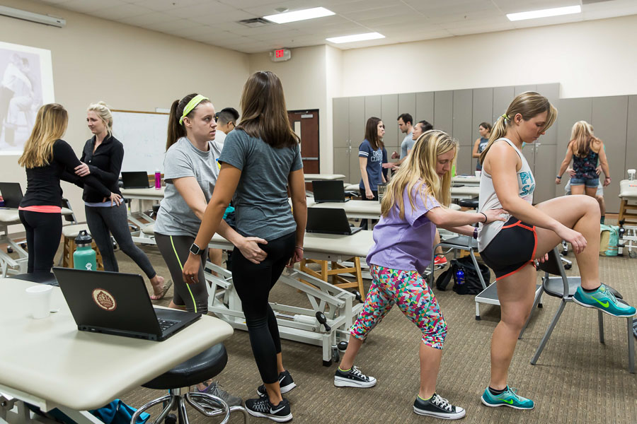 Physical Therapy students practice with one another in a classroom