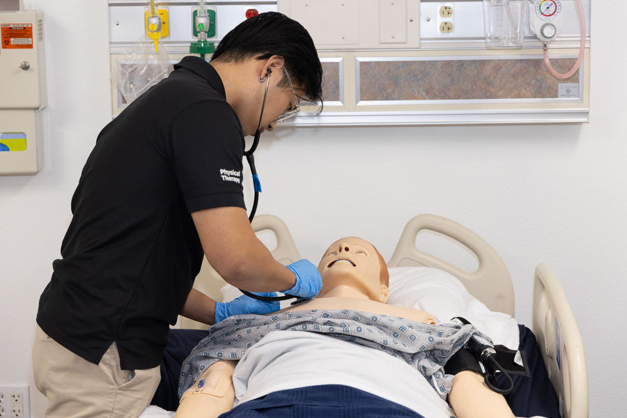 A Physical Therapy student uses a stethoscope on the chest of a simulation manikin