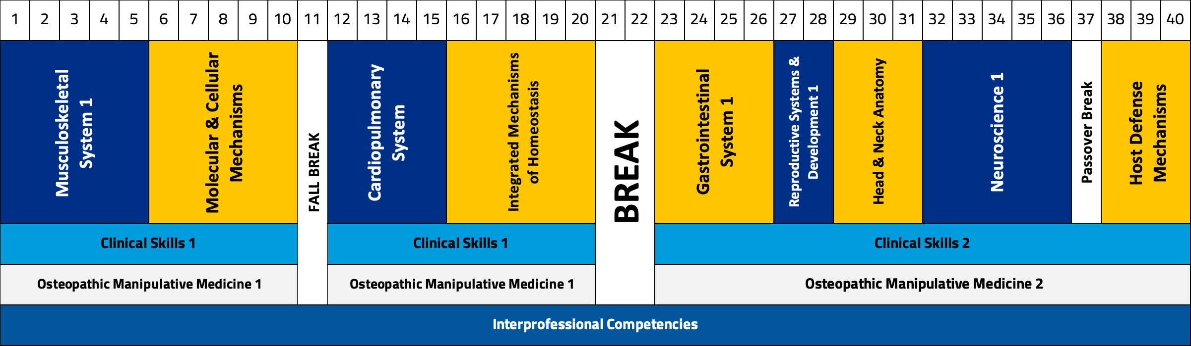Chart displaying the breakdown of the first-year curriculum by week