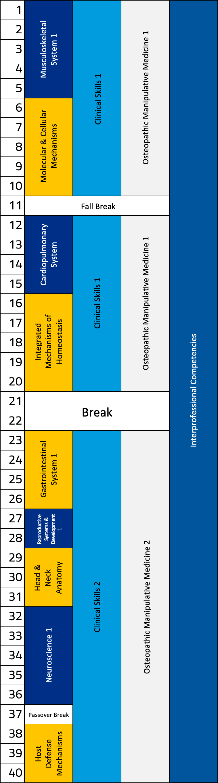 Chart displaying the breakdown of the first-year curriculum by week.