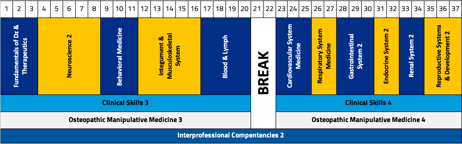 Chart displaying the breakdown of the second-year curriculum by week.