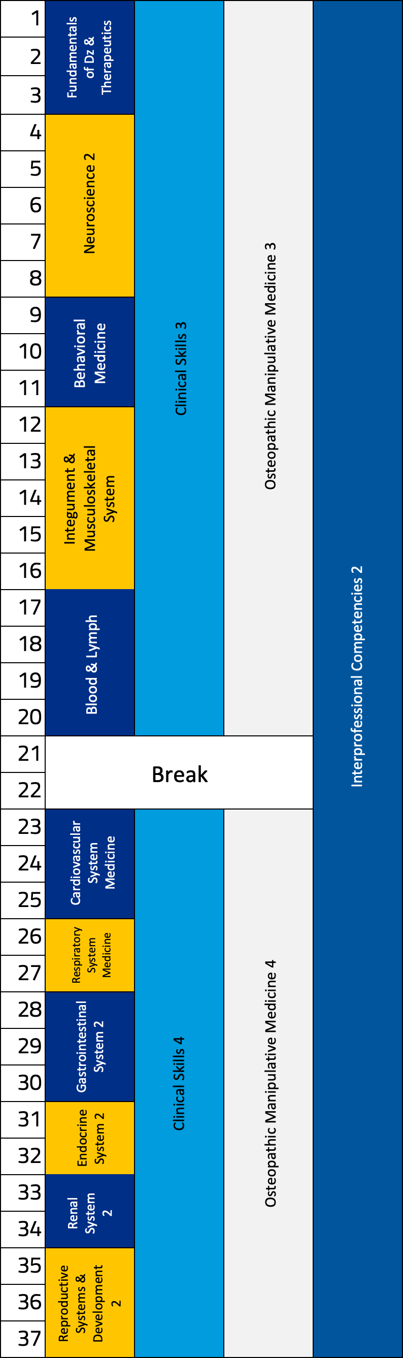 Chart displaying the breakdown of the second-year curriculum by week.