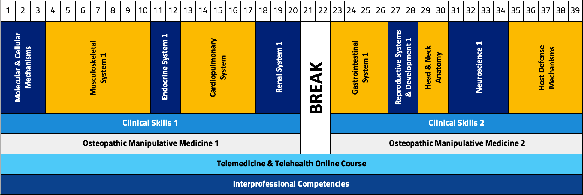 Chart displaying the breakdown of the first-year curriculum by week