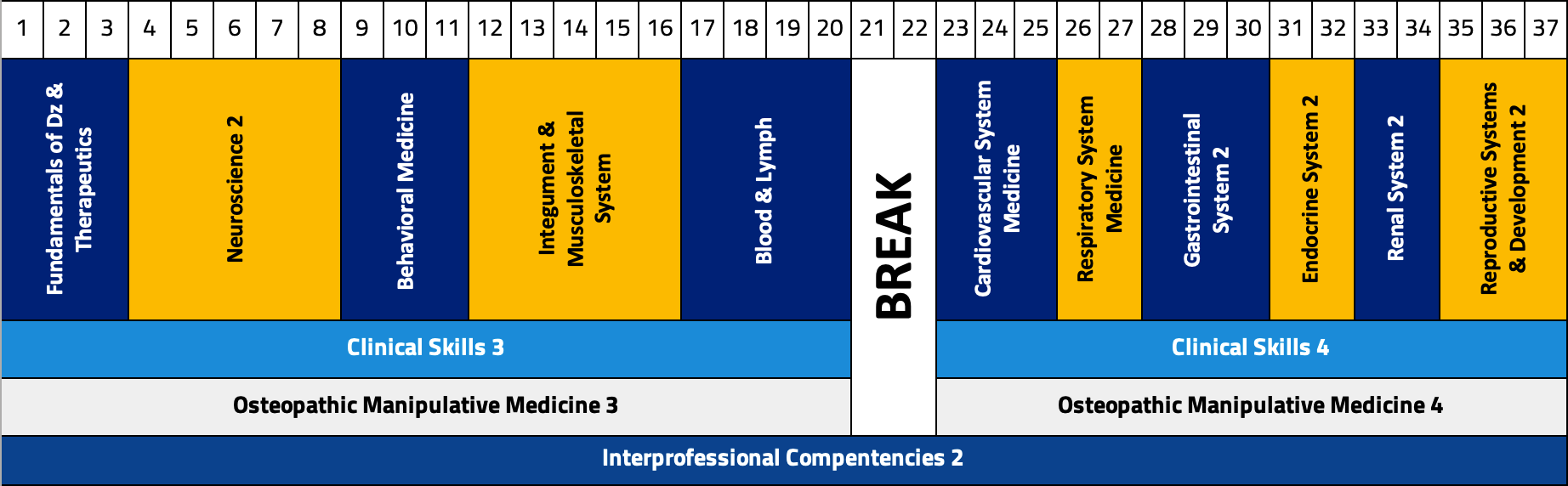 Chart displaying the breakdown of the second-year curriculum by week.