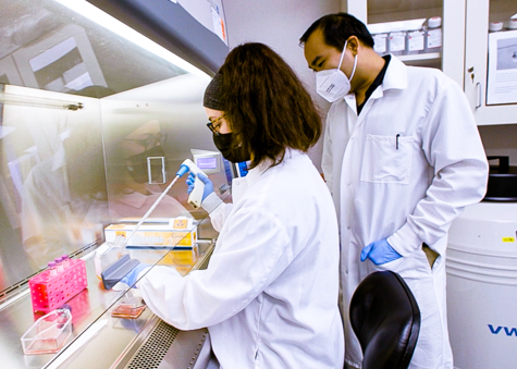 Two researchers in white coats performing tests in a lab.