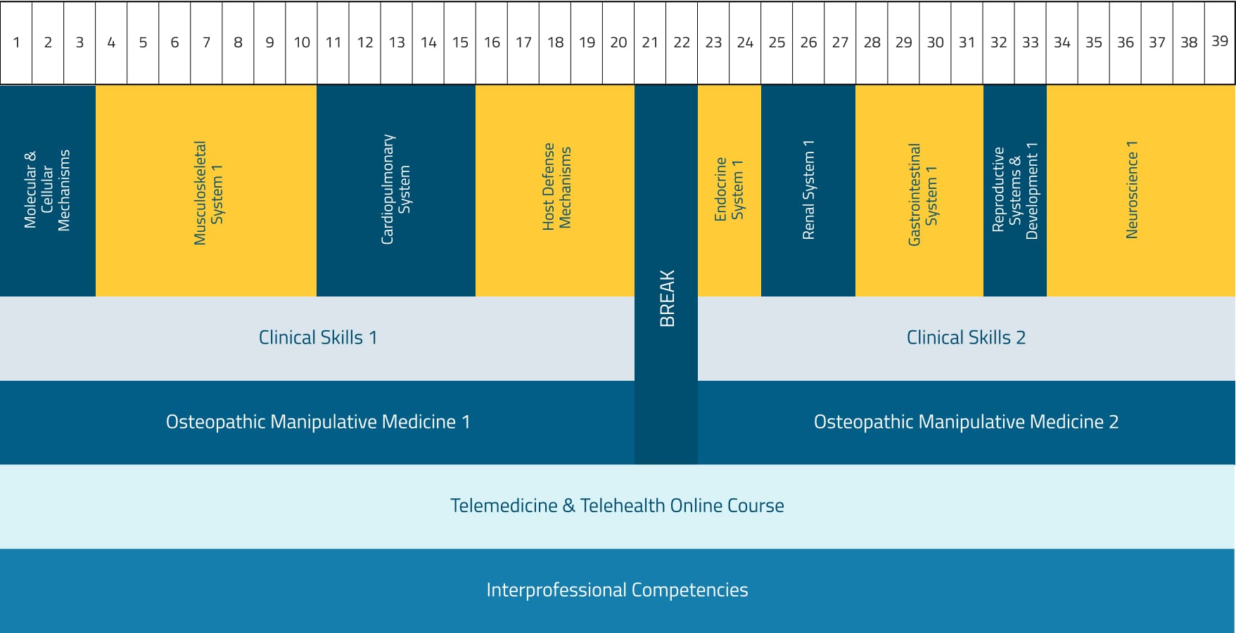 Chart displaying the breakdown of the first-year curriculum by week