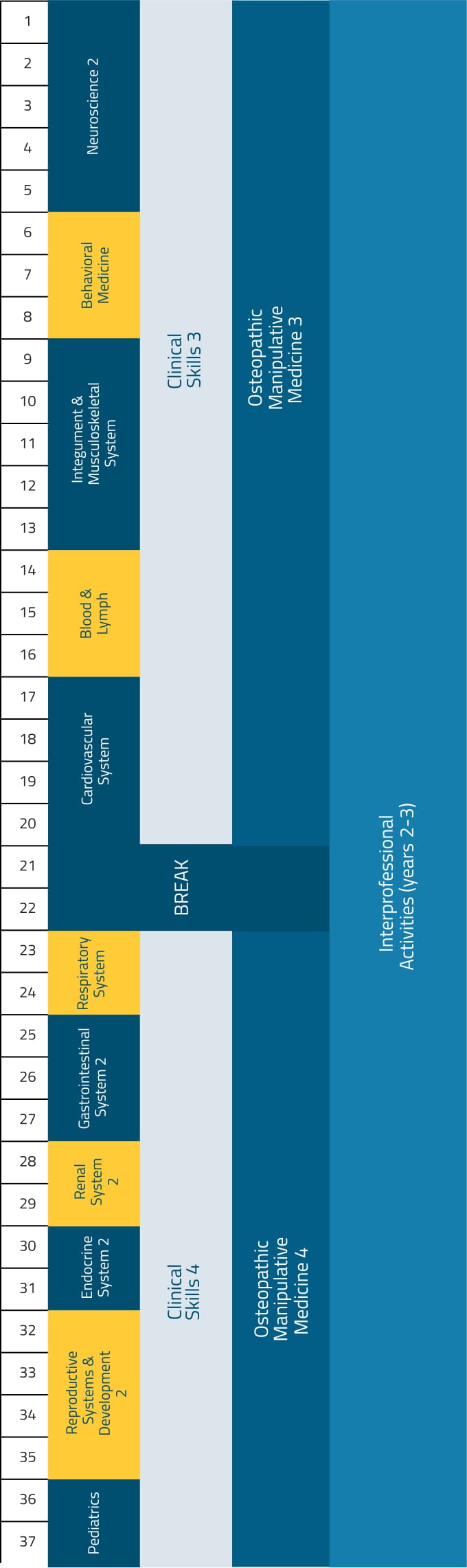 Chart displaying the breakdown of the second-year curriculum by week.