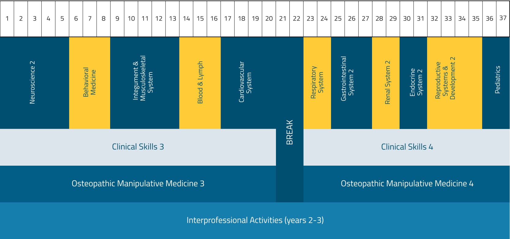 Chart displaying the breakdown of the second-year curriculum by week.