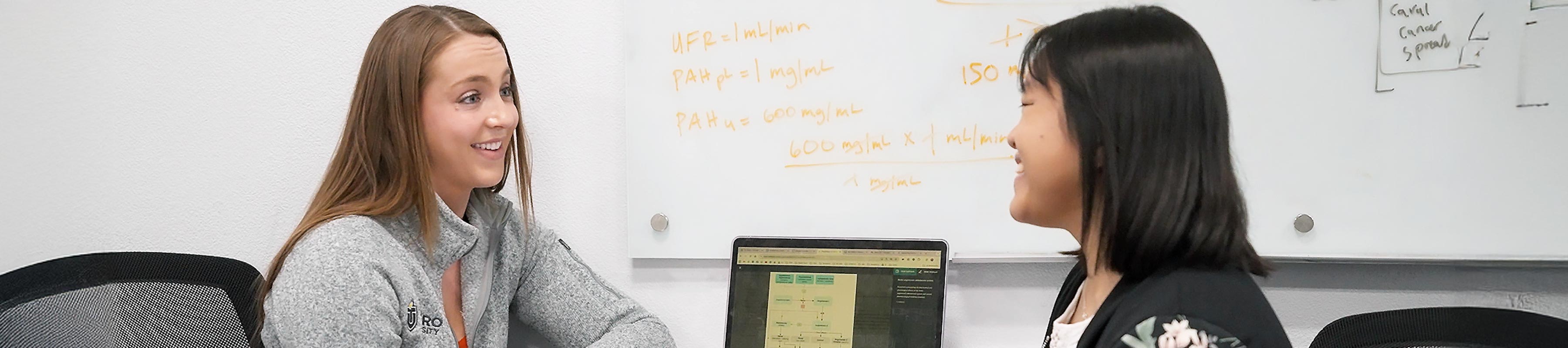 An academic tutor and student sit across a table from each other with open laptop showing a diagram between them. On the wall behind them is a dry erase board with formulas written on it.