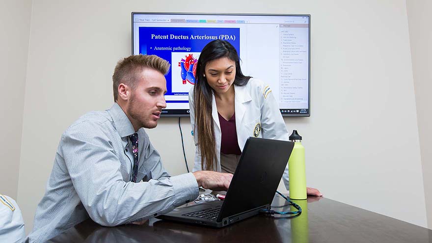 Two students studying. 